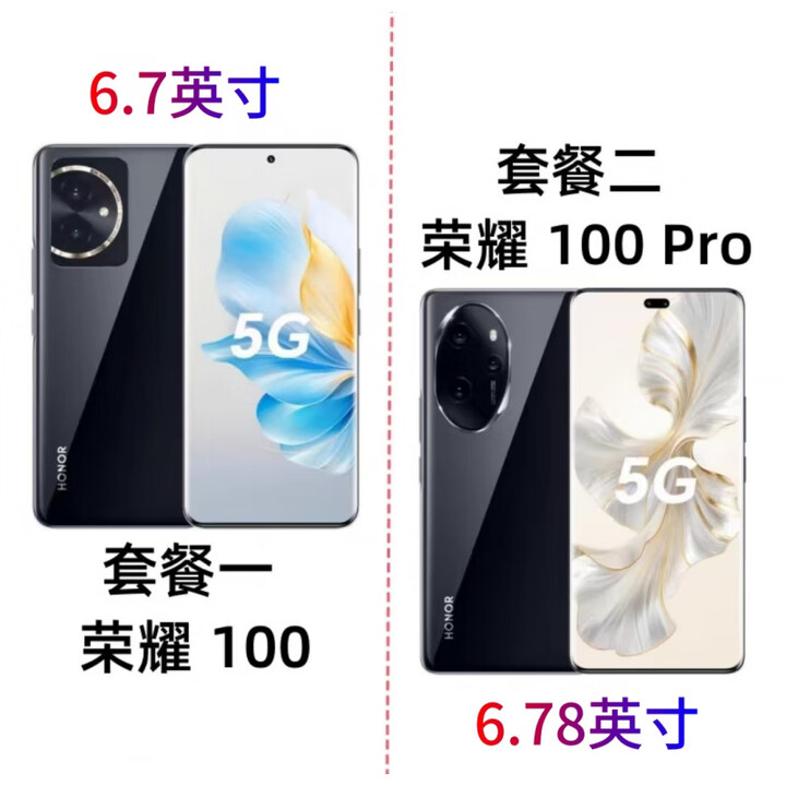 荣耀（HONOR）荣耀100 Pro 骁龙8+芯 5G曲面屏荣耀100手机5000万拍照NFC 亮黑色 5G通_16GB+512GB