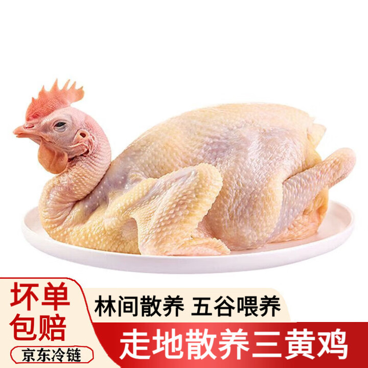 正宗三黄鸡新鲜成年土鸡草鸡三黄鸡鸡腿鸡肉鸡胸肉白条鸡整鸡 三只装(2斤/只) 农家散养三黄鸡【图片 价格 品牌 报价】-京东