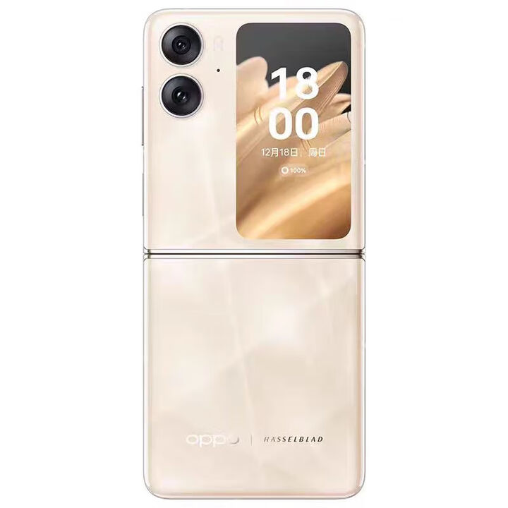 OPPOFind N2 Flip 5G通折叠屏 120Hz镜面屏 5000万 手机 流金 5G通_套餐一_靓机_12GB+256GB_中国大