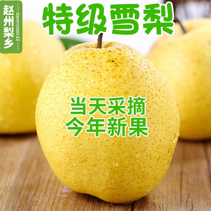 雪梨水果新鲜正宗赵州雪花梨河北赵县整箱梨子大果当季 9斤 【皇冠梨现摘】优选大果【图片 价格 品牌 报价】-京东