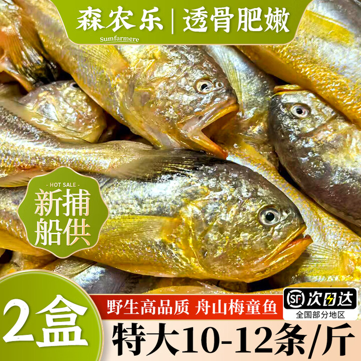 森农乐舟山梅童鱼新鲜狮头鱼沙中鱼大头宝细眼梅子鱼东海捕捞海鲜速冻 18-20条/斤【2盒 当季野生】【图片 价格 品牌 报价】-京东