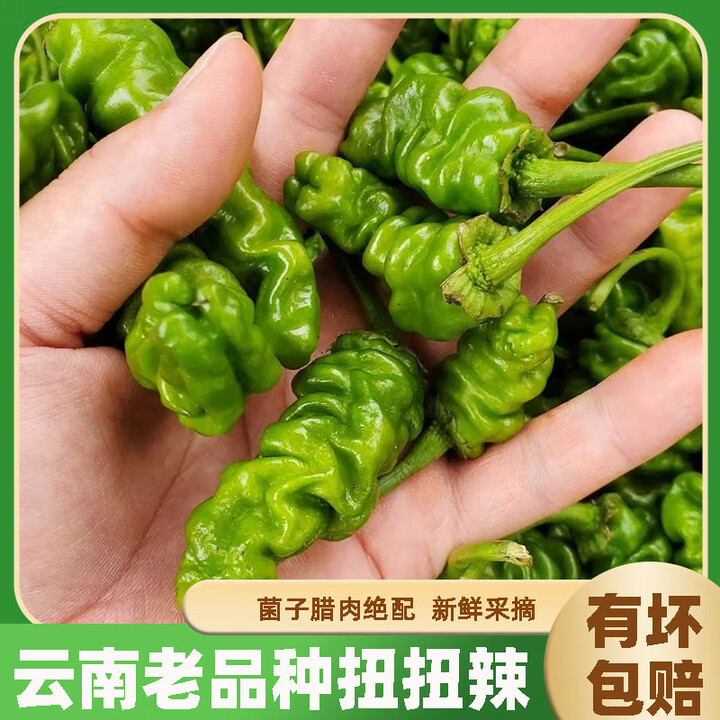 果益寿云南扭扭辣椒老品种螺丝皱皮辣椒超辣现摘新鲜薄皮青椒农家自种 4斤【图片 价格 品牌 报价】-京东