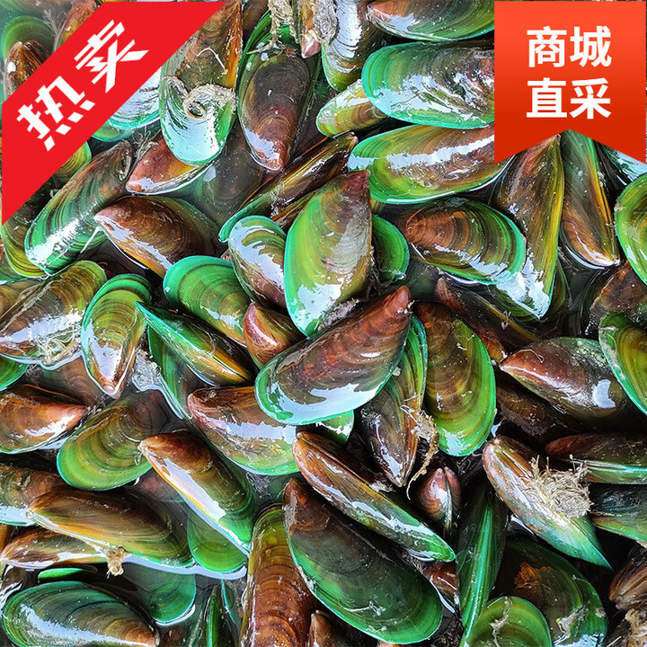 福建绿壳野生青口贝鲜活海捕海虹淡菜新鲜海鲜贻贝青口贝水产 2斤装 0g(净重)【图片 价格 品牌 报价】-京东