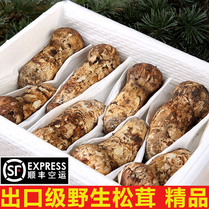 【顺丰航空】云南香格里拉冰鲜松茸 未开伞精品冷冻蔬菜送礼 珍品9-12cm 500g【出口级 不开伞】【图片 价格 品牌 报价】-京东