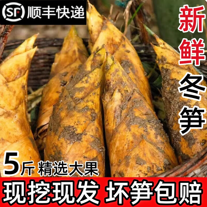 冬笋新鲜现挖黄泥大冬笋福建南平笋农家野生新鲜竹笋楠竹春笋5斤 2斤装 顺丰包邮 大笋(4-6两)【图片 价格 品牌 报价】-京东