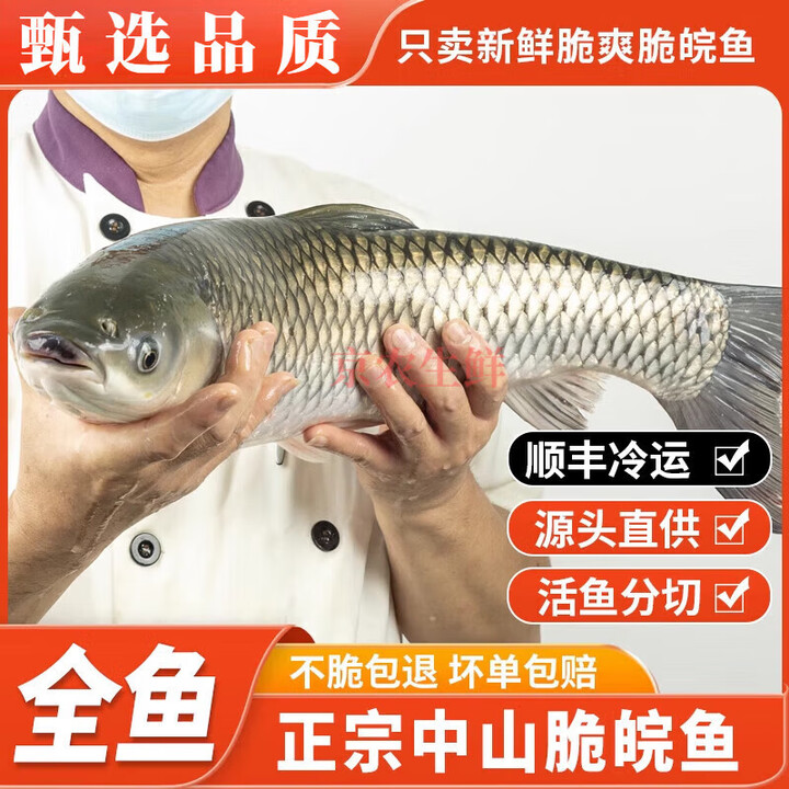 山泉水吊水脆肉鲩鱼中山脆皖鱼活鱼整条鲜活脆鱼广东脆肉皖脆鱼片 11斤以上活鱼精分切真空包装(顺【图片 价格 品牌 报价】-京东