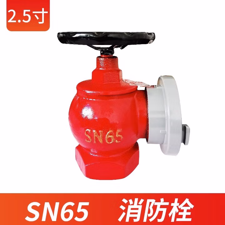 扬龙室内消火栓65三铜旋转减压稳压消防水带阀门2寸2.5寸消防栓水龙头  SN6
