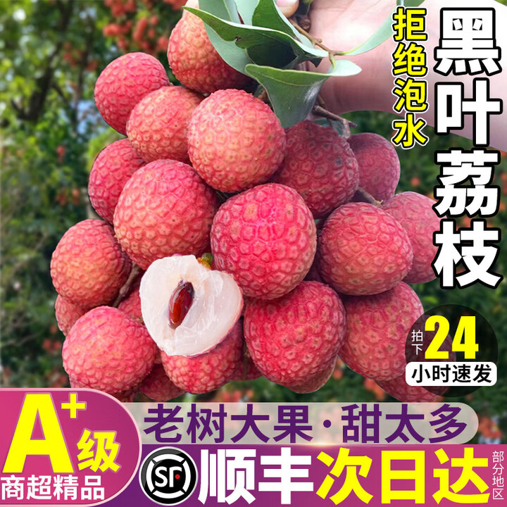 三萌果蔬黑叶荔枝新鲜【JD顺丰-多地次日达】福建新鲜荔枝端午节水果礼盒 净重4.5斤精品果【单果16g+】【图片 价格 品牌 报价】-京东