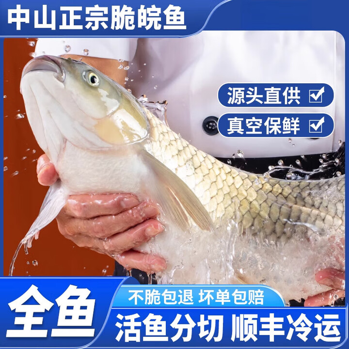 茗老汉中山脆皖鱼广东脆鱼皖鱼活鱼脆肉鲩鱼火锅脆肉皖鲩鱼脆肉皖鱼片 精细分切小袋分装 12-13斤活鱼放血去内脏(不少于9.【图片 价格 品牌 ...