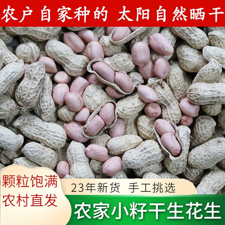 食芳溢带壳花生 生的1份2023年四川农家自种生花生晒干花生小籽花生 1斤 0g【图片 价格 品牌 报价】-京东