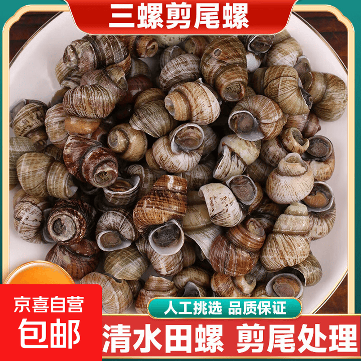 三螺剪尾清水田螺新鲜螺蛳无泥无沙人工精选石螺美味夜宵炒螺蛳 大号剪尾螺2斤装【图片 价格 品牌 报价】-京东