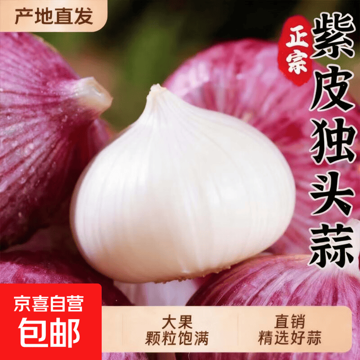 独头蒜紫皮2025新蒜大祘干蒜独蒜大果现挖大蒜头 10斤（410-430粒）源头直发【图片 价格 品牌 报价】-京东