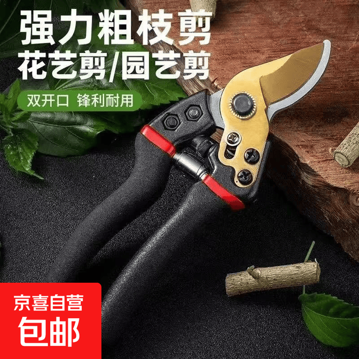 强力剪园艺剪不锈钢剪刀剪枝剪专用省力剪子切屑花芽修花剪刀修枝剪剪刀 强力粗枝剪【图片 价格 品牌 报价】-京东