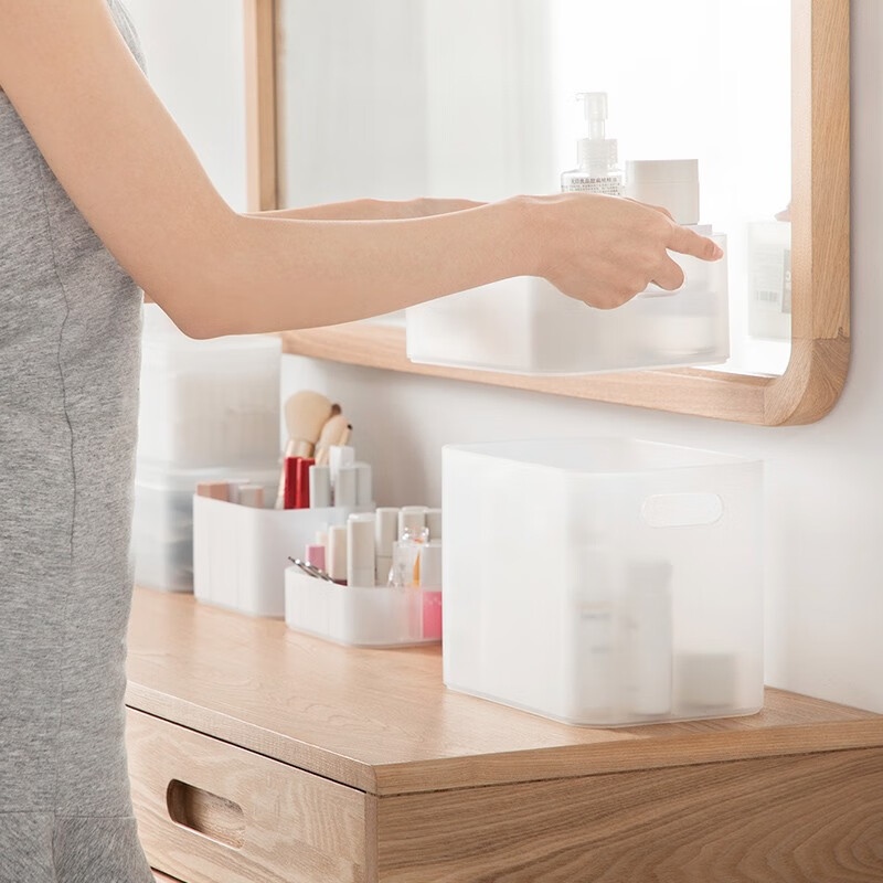 茶花（CHAHUA）茶花收纳盒桌面小盒子收纳格半透明磨砂 分格收纳盒150004 1个装