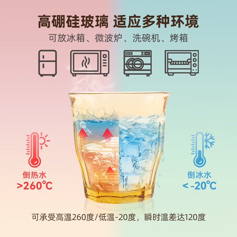 艾逸瑶选铂萃系列高硼硅玻璃餐具10件套CJ-21135