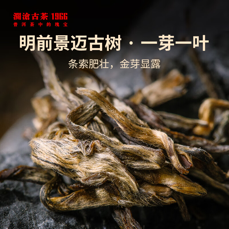 澜沧古茶叶普洱生茶 2022年云南普洱001全家福景迈古树茶茶叶925g