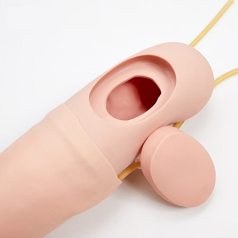 LINGXIN TECHNOLOGY静脉穿刺输液输血及肌肉注射训练模型 抽血示教长手臂打针模具