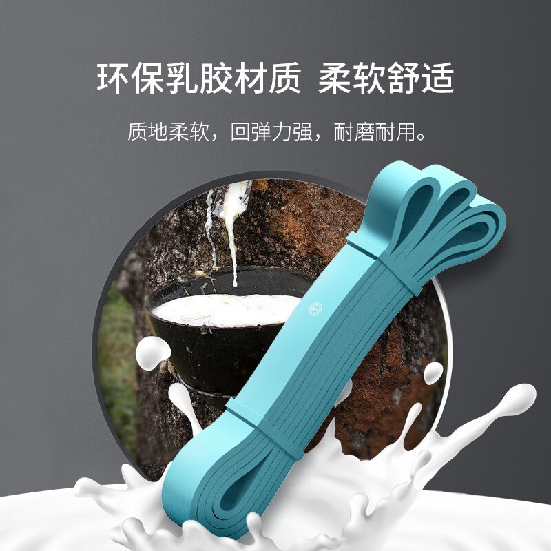 普洛（puLuo）弹力带阻力带男女健身力量训练向上 拉力绳拉力带