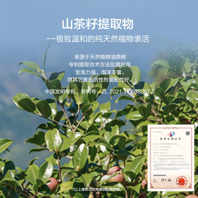 蕉蓝国际JLGJJLGJ蕉蓝国际净柔香氛洗手液