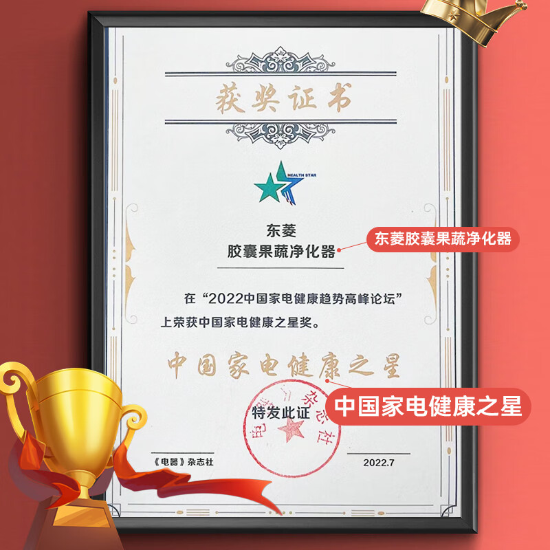 东菱(Donlim)胶囊果蔬清洗机家用洗菜机蔬菜水果食材净化机器去农残清洗机消毒神器 无线便携 DL-001