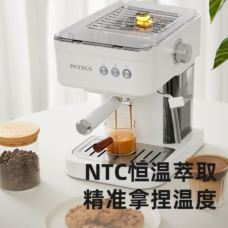 柏翠【政府补贴】咖啡机意式全半自动浓缩家用小型办公室蒸汽打奶泡 PE2170 海盐白（ 下单前咨询送惊喜津贴 ）