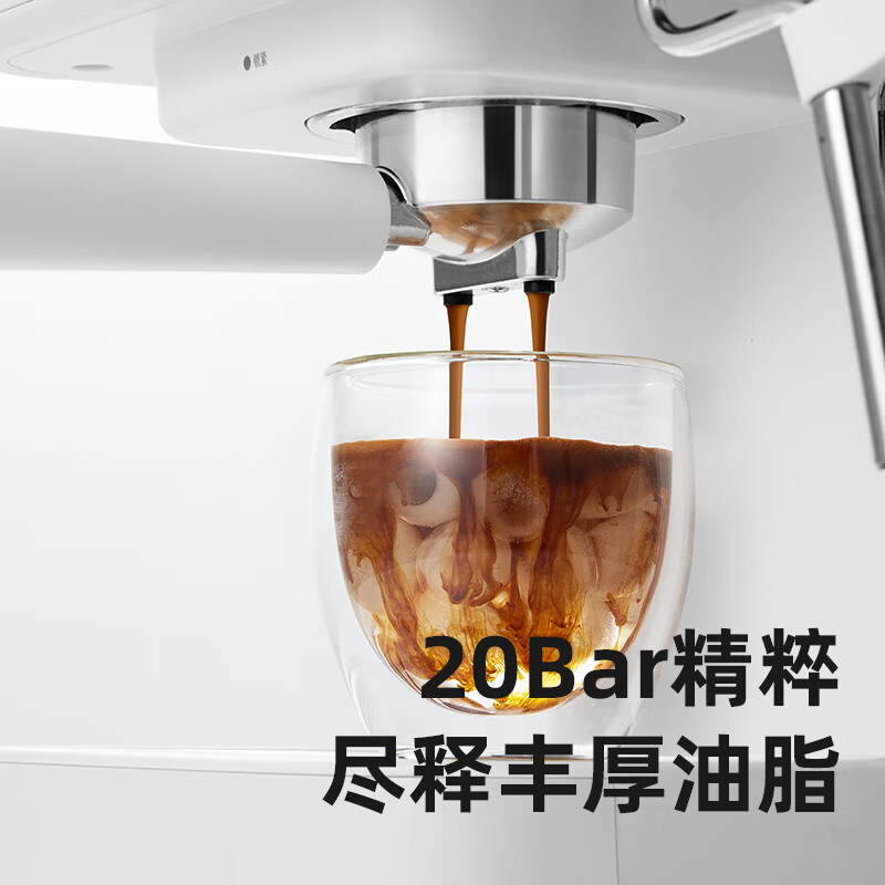 柏翠【政府补贴】咖啡机意式全半自动浓缩家用小型办公室蒸汽打奶泡 PE2170 海盐白（ 下单前咨询送惊喜津贴 ）