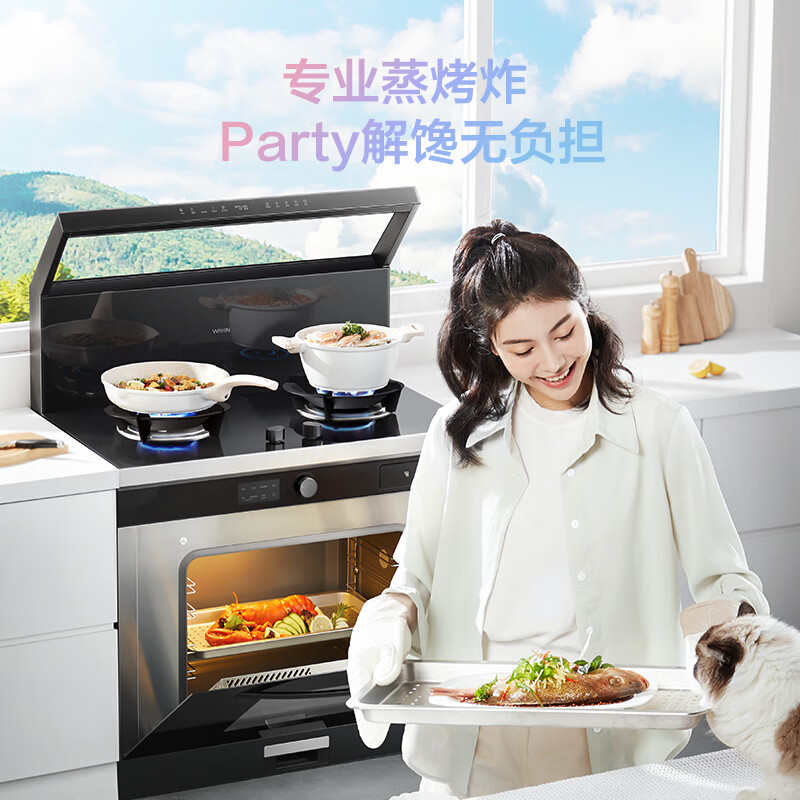 美的（Midea）出品 华凌小透明集成灶 变频21风量千帕强压 5.2KW燃气灶双灶定时 自清洁 蒸烤一体WX9S 天然气