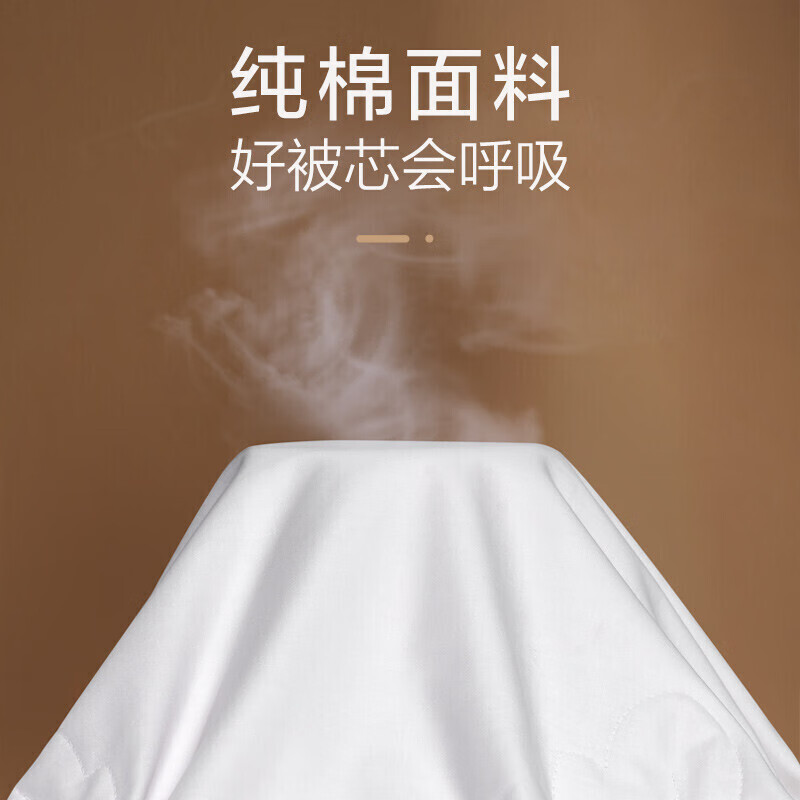 富安娜蚕丝被子 100%蚕丝子母被二合一四季加大双人空调被芯(230*229cm)