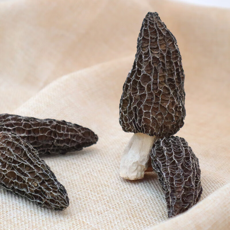 塞翁福 羊肚菌100g 山珍菌菇干货 煲汤火锅食材