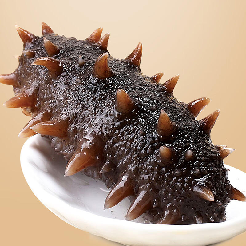 塞翁福 俄罗斯进口淡干海参 高品质5A海参礼盒400g/（80头/斤）
