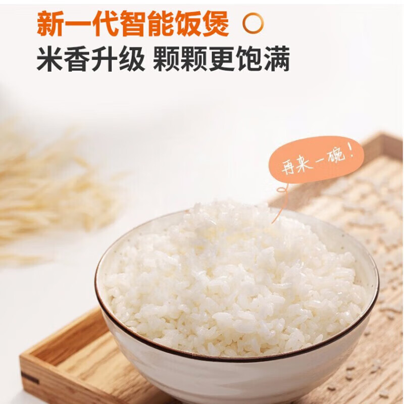 九阳Joyoung 电饭煲 智能预约多功能大火力柴火饭 5L大容量适3-7人 焖煮防溢家用 电饭煲F50FY-F311