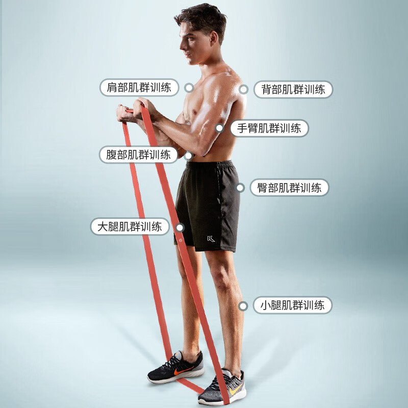 普洛（puLuo）弹力带阻力带男女健身力量训练向上 拉力绳拉力带