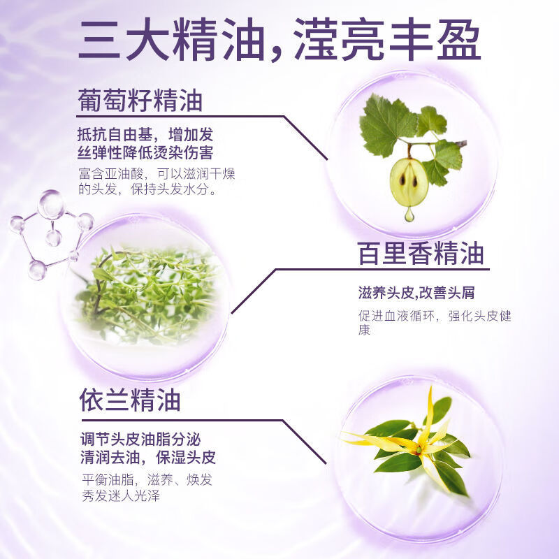 舒蕾葡萄籽强韧修护洗发水改善烫染受损护发素改善头屑头油久留香 葡萄籽强韧修护洗发露500ml 1瓶