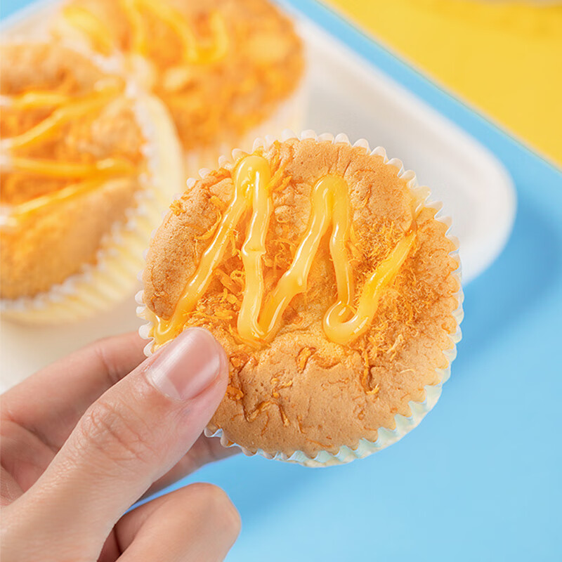 港荣蒸蛋糕 咸肉松味整箱饼干蛋糕 营养早餐办公室面包儿童休闲零食糕 肉松咸蛋糕480g