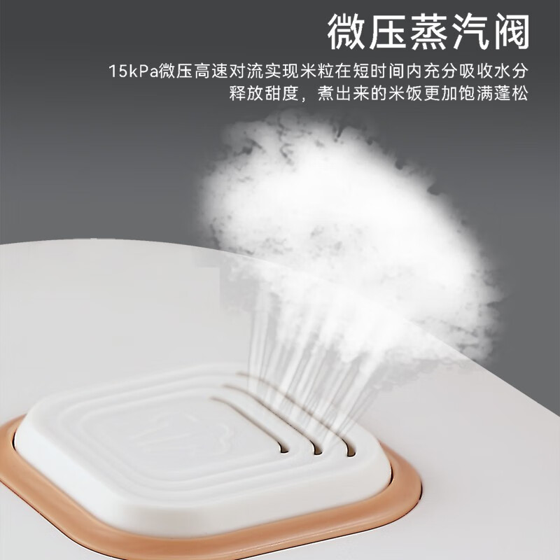 Abereve艾贝丽 智能电饭煲ABL-FBZ31白色 3L