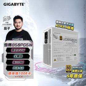 技嘉（GIGABYTE）雪鹰 白色限定 额定850W金牌认证全模组电源/ATX 3.0/PCIE5.0/原生16PIN/五年保障/支持40系列显卡