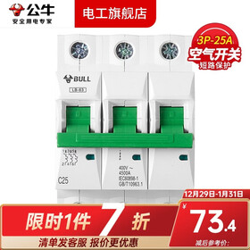 公牛（BULL）空气开关空开开关63A小型断路器家用100A塑壳电闸总闸3P过载4P 3P/25A