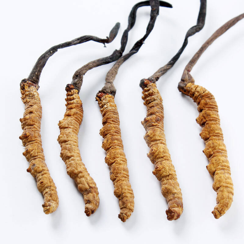 618爆品抢先逛 西藏野生那曲特级极品冬虫夏草5根1克 极草精选超同仁