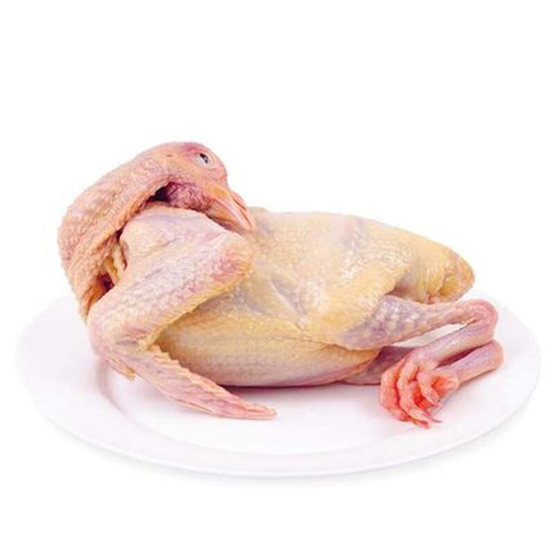 肉乳鸽生鲜冷冻土老鸽子农家散养新鲜现杀天落肉半成品 3只鸽子【图片