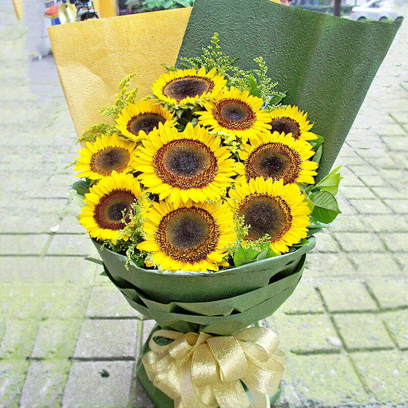 11朵向日葵 鲜花同城速递 生日鲜花 11朵向日葵d款