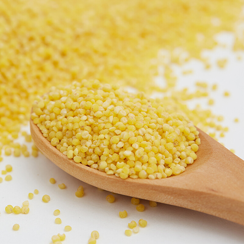 网易严选黄小米月子米黍米五谷杂粮东北粗粮480克5件