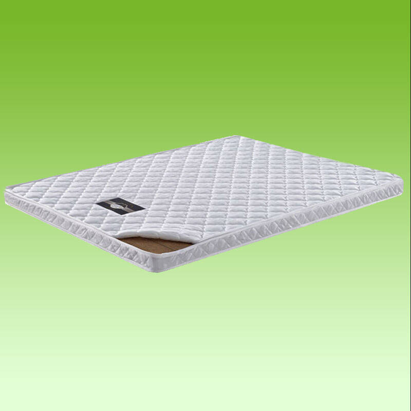 一盈 成品5cm厚 硬棕垫 厚度可定做 椰棕席梦思床垫棕榈山棕1.5/1.