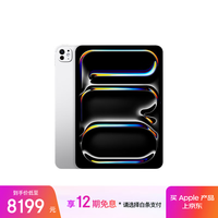 Apple/苹果 iPad Pro 11英寸 M4芯片 2024年新款平板电脑(256G WLAN版/MVV93CH/A)银色