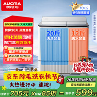 澳柯玛(AUCMA)半自动波轮洗衣机10KG公斤 双缸大容量 双电机除毛宿舍租房家用洗涤脱水甩干机 XPB100-8988S