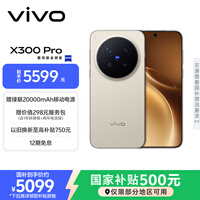 vivo X300 Pro 12GB+256GB 旷野棕 蔡司2亿APO超级长焦 蓝图影像双芯 5年持久流畅OriginOS 6 AI手机