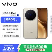 vivo X300 Pro 12GB+256GB 旷野棕 蔡司2亿APO超级长焦 蓝图影像双芯 5年持久流畅OriginOS 6 AI手机