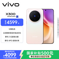 vivo X300 12GB+256GB 幸运彩 国家补贴 蔡司2亿超级主摄 蔡司APO超级长焦 OriginOS6 拍照 AI手机