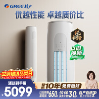 格力空调 天仪 2匹 新一级能效变频 纯铜管客厅节能省电柜机 国家补贴KFR-50LW/(50504)FNhAa-B1