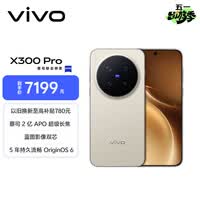 vivo X300 Pro 16GB+1TB 旷野棕 蔡司2亿APO超级长焦 蓝图影像双芯 5年持久流畅OriginOS 6 AI手机