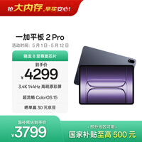 һ��ƽ�� 2 Pro�����Ҳ�����13.2Ӣ��ƽ���������8�����оƬ12GB+512GB ��� ��Ϸ�칫ѧ��